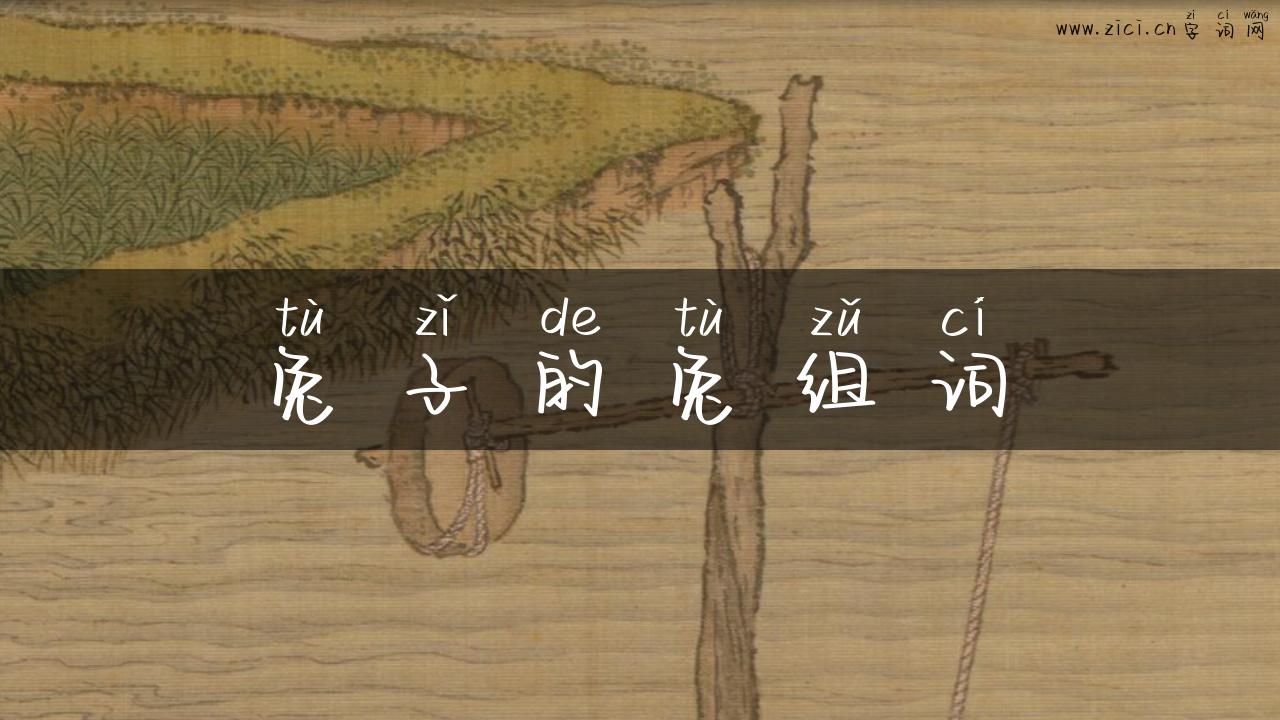 兔子的兔组词