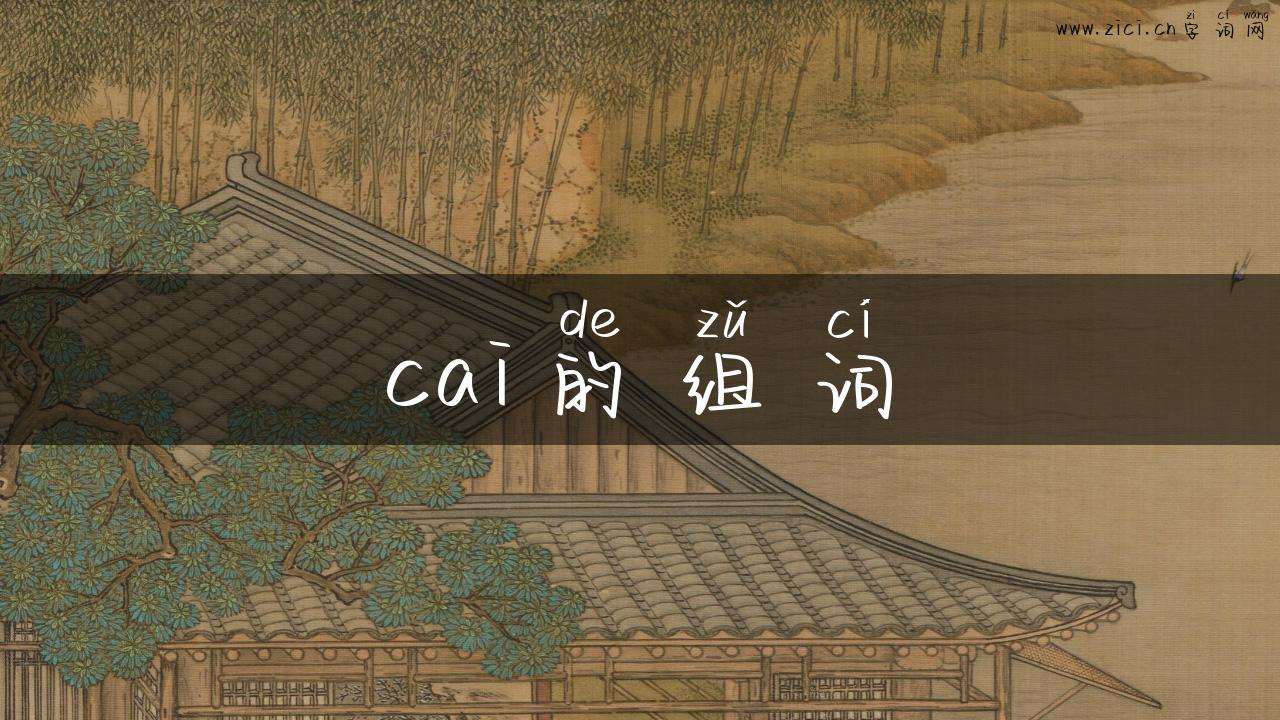 cai的组词