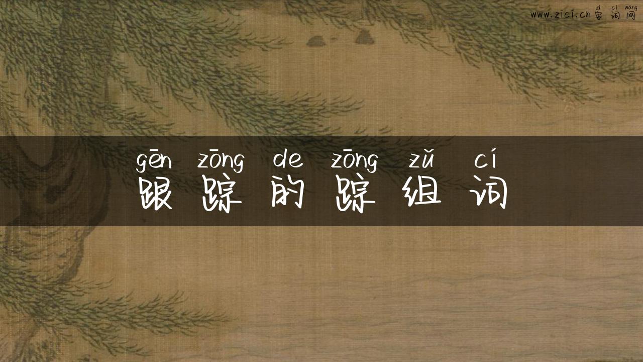 跟踪的踪组词