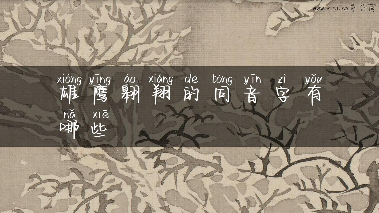 雄鹰翱翔的同音字有哪些