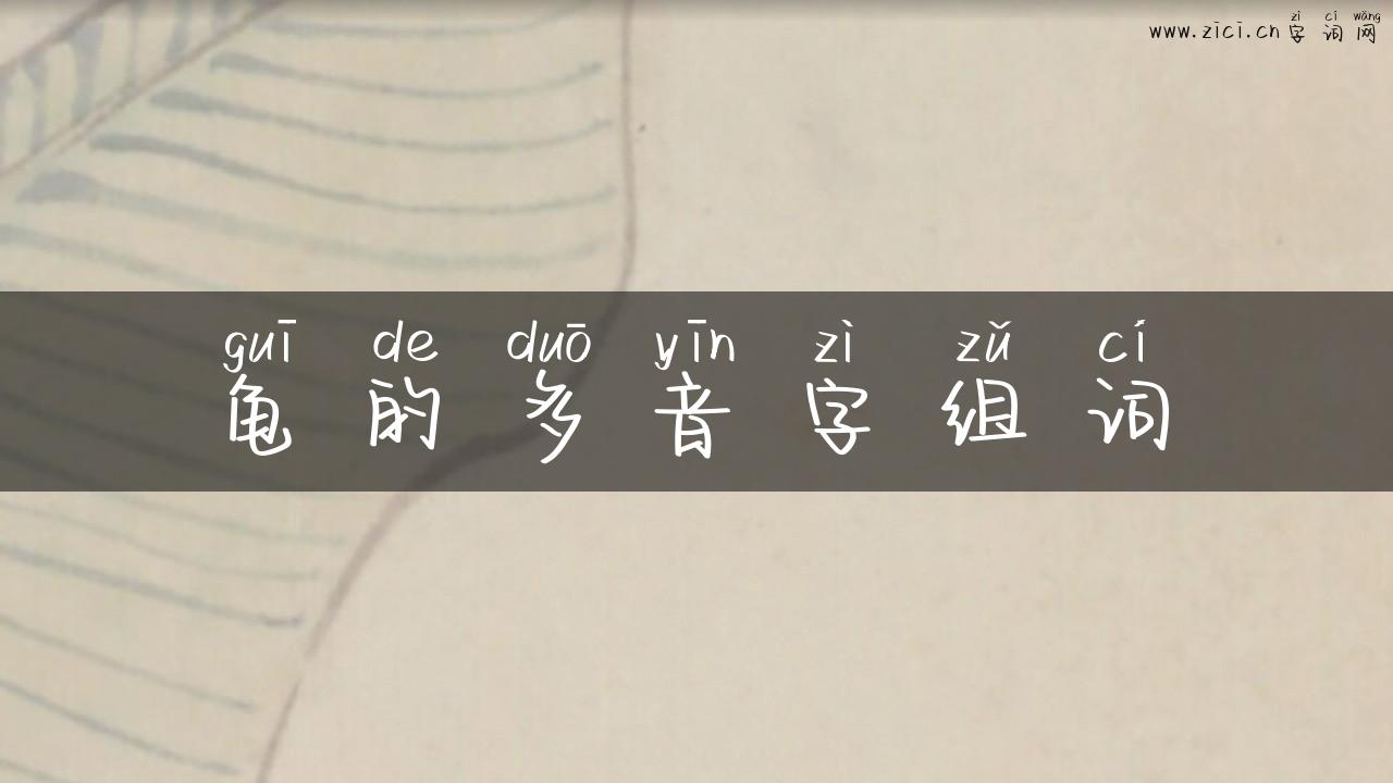 龟的多音字组词