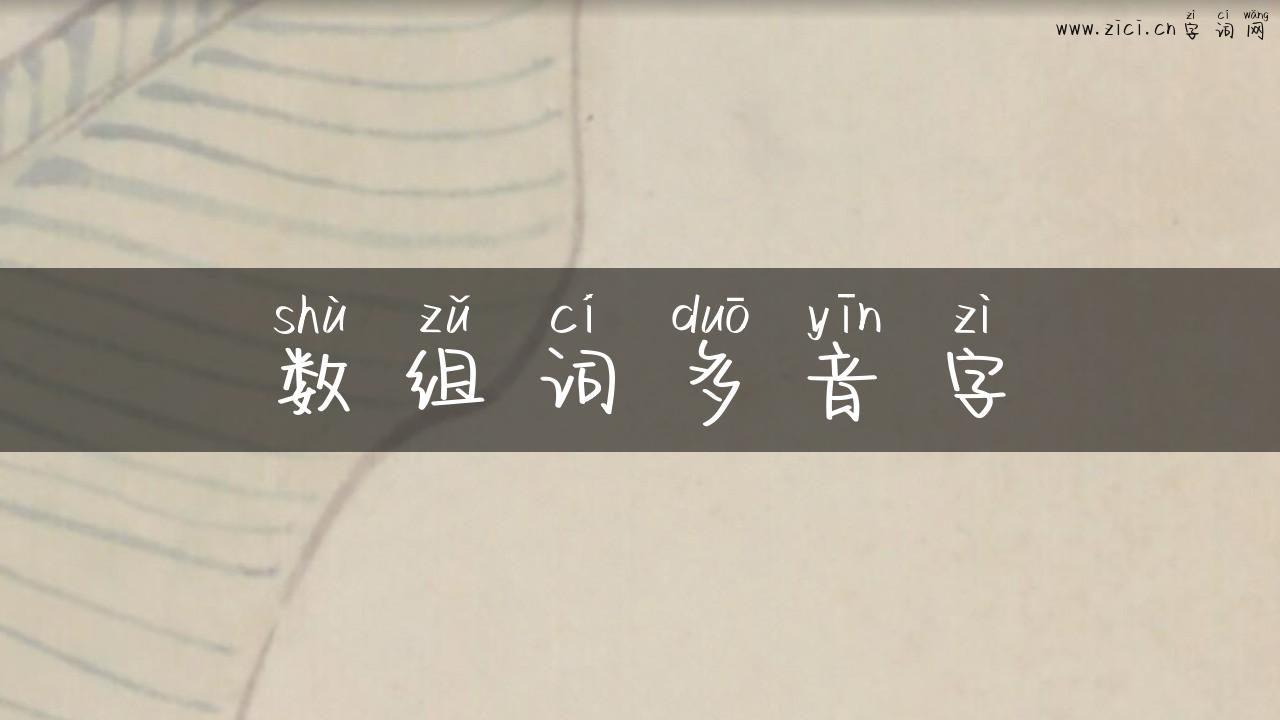 数组词多音字