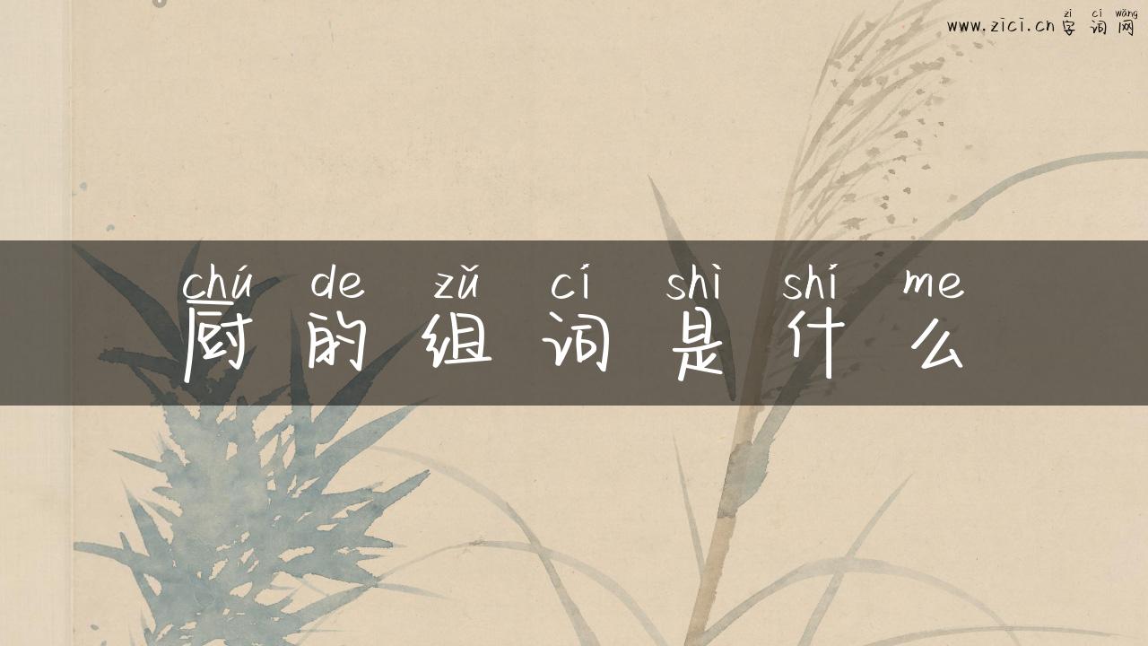 厨的组词是什么