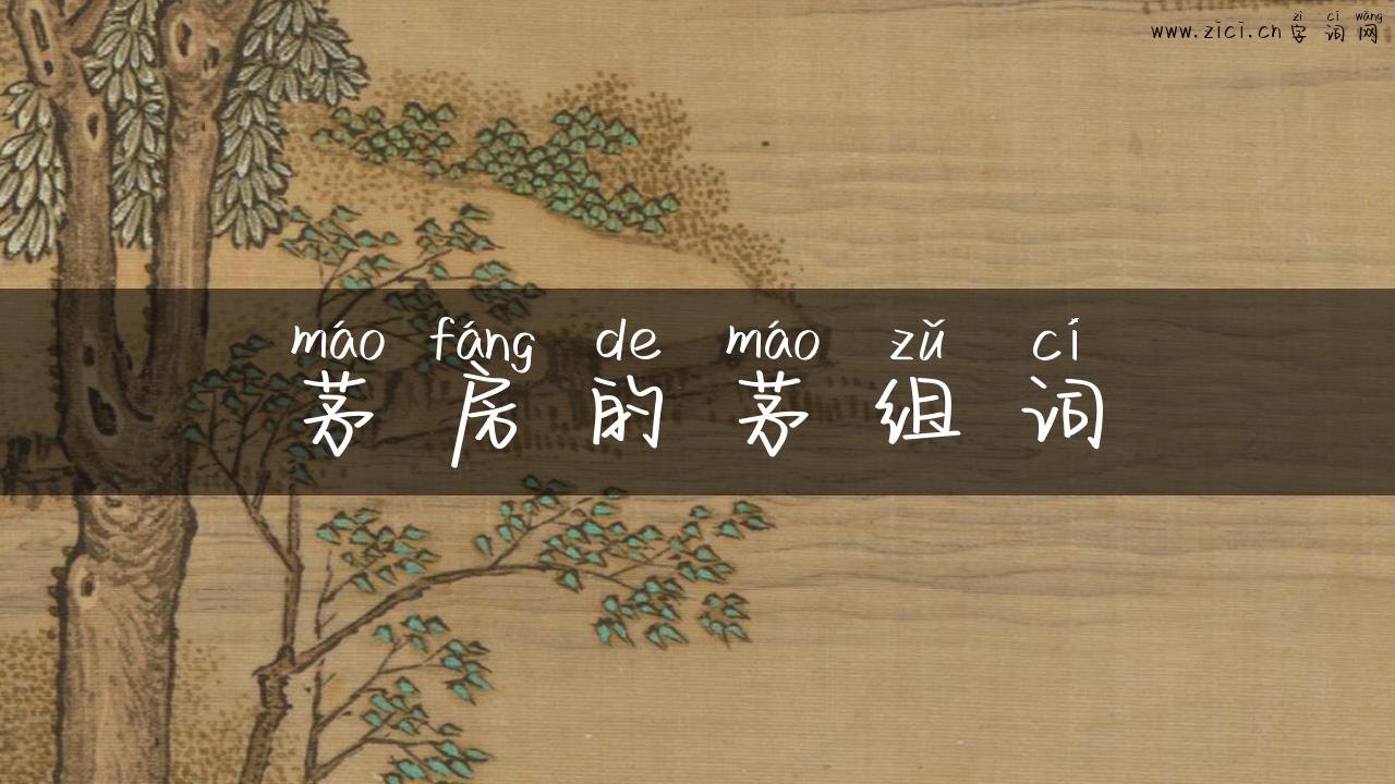 茅房的茅组词