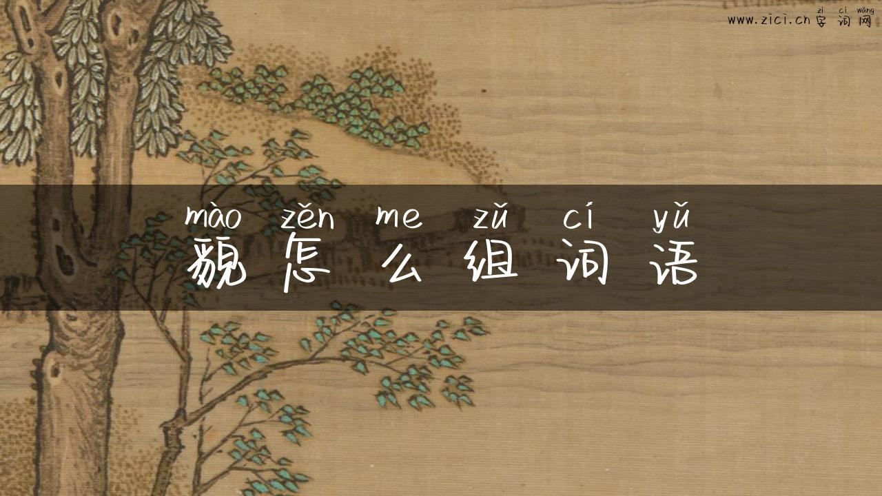 貌怎么组词语