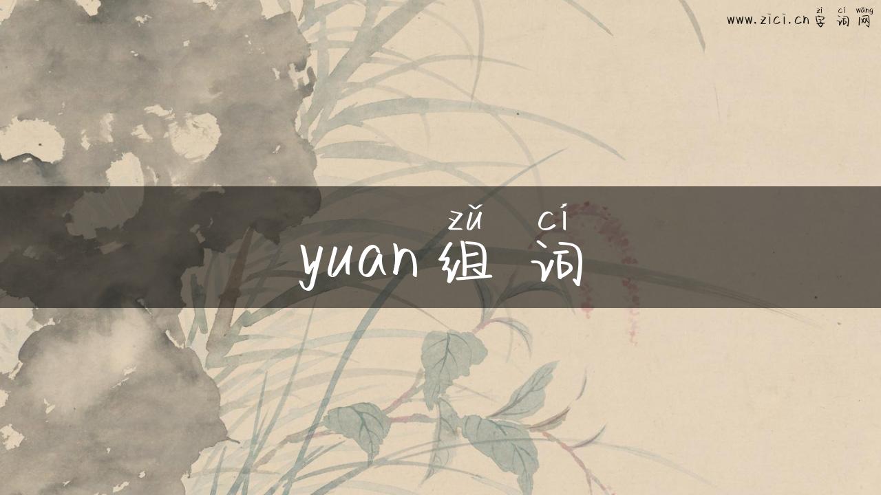 yuan组词