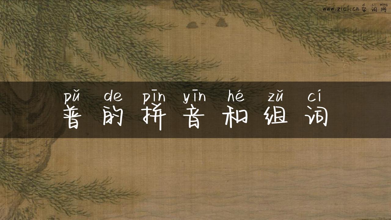 普的拼音和组词