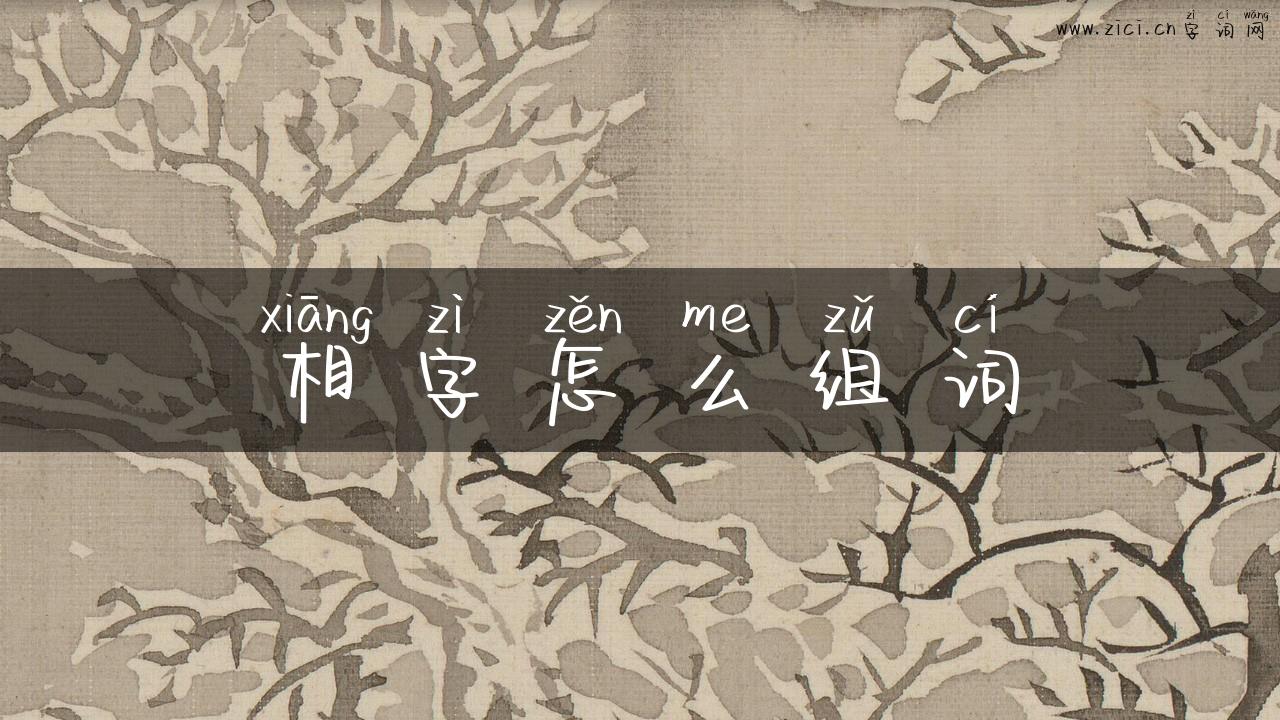 相字怎么组词