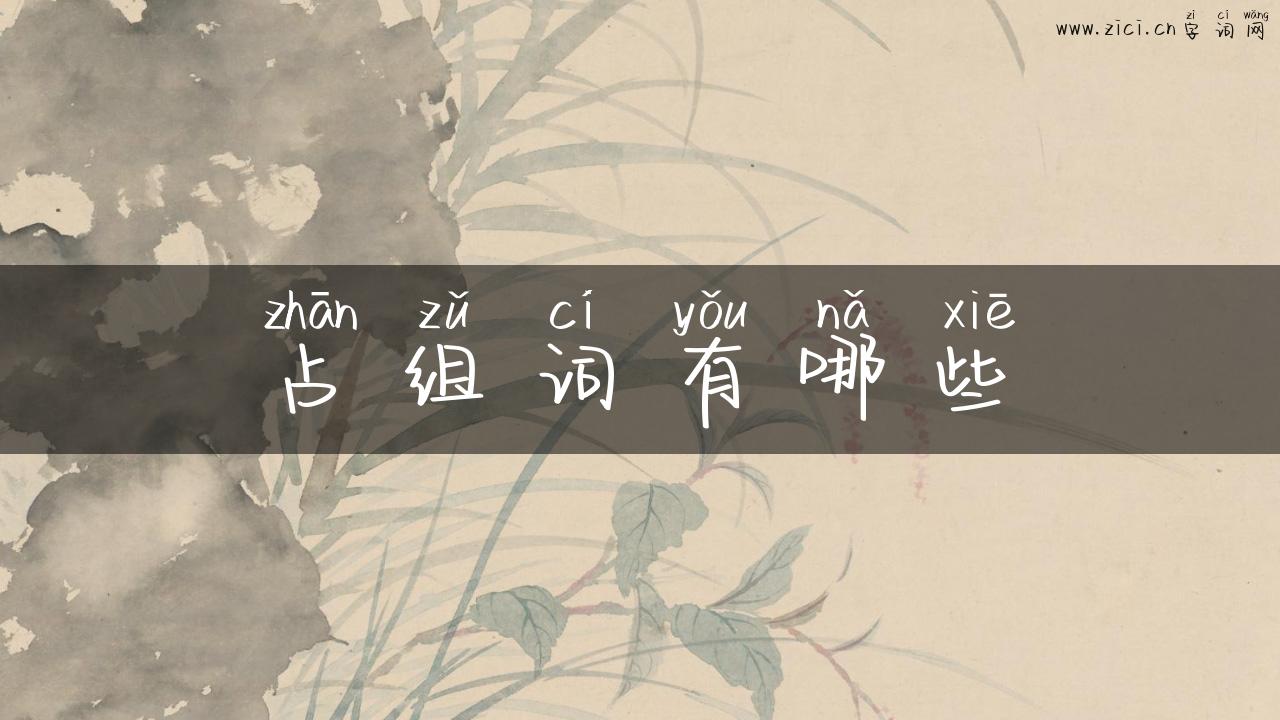 占组词有哪些