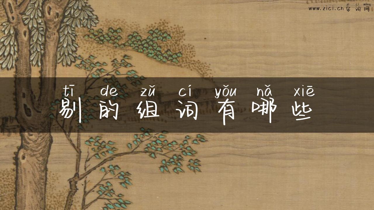 剔的组词有哪些