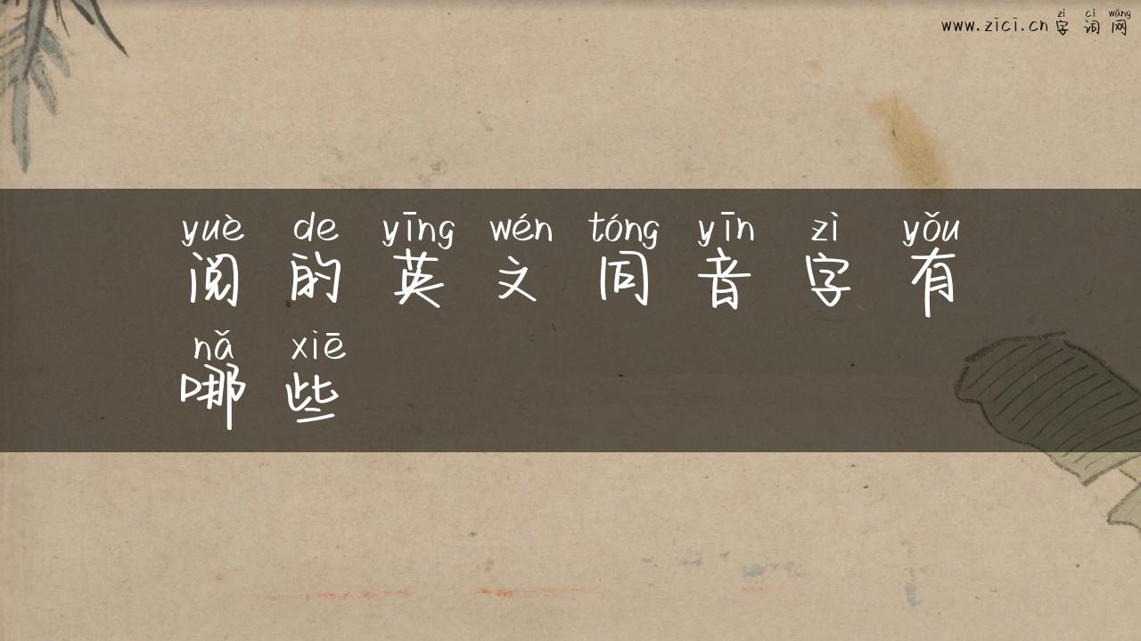 阅的英文同音字有哪些