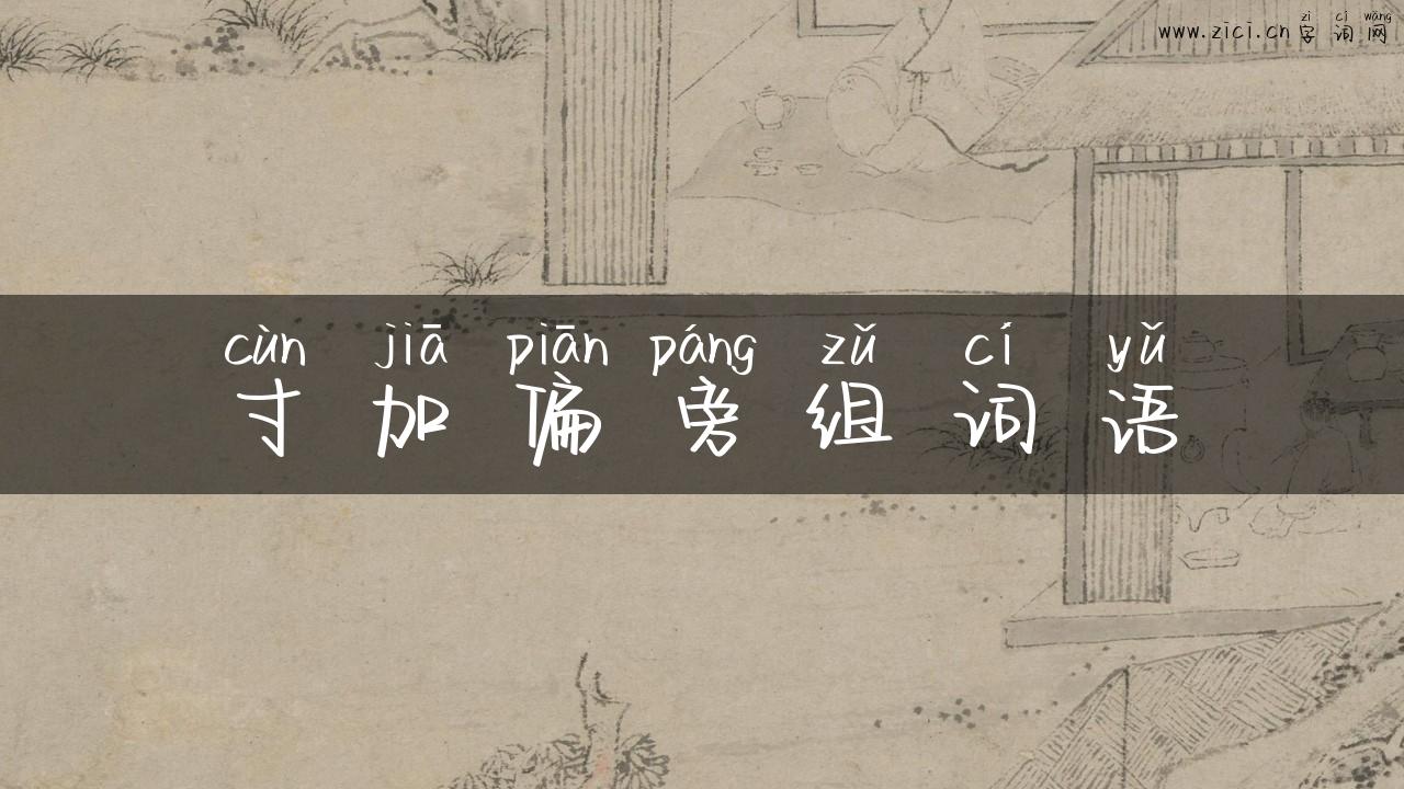 寸加偏旁组词语