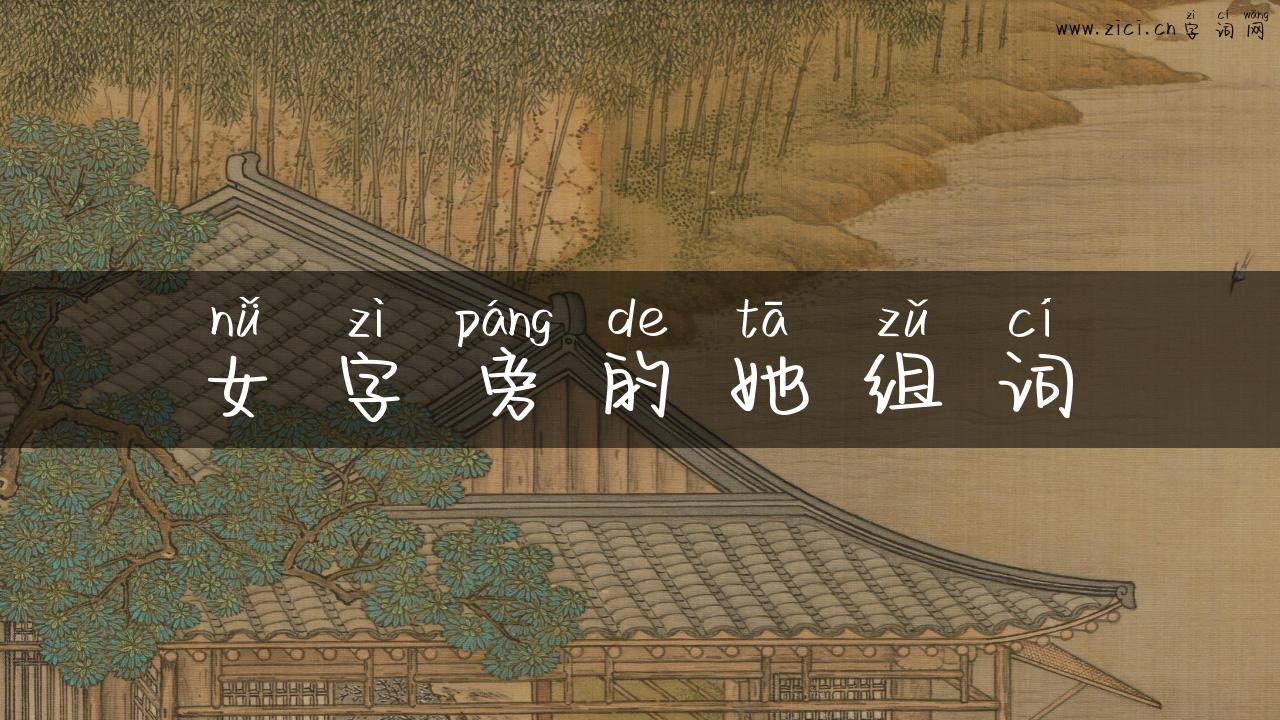 女字旁的她组词