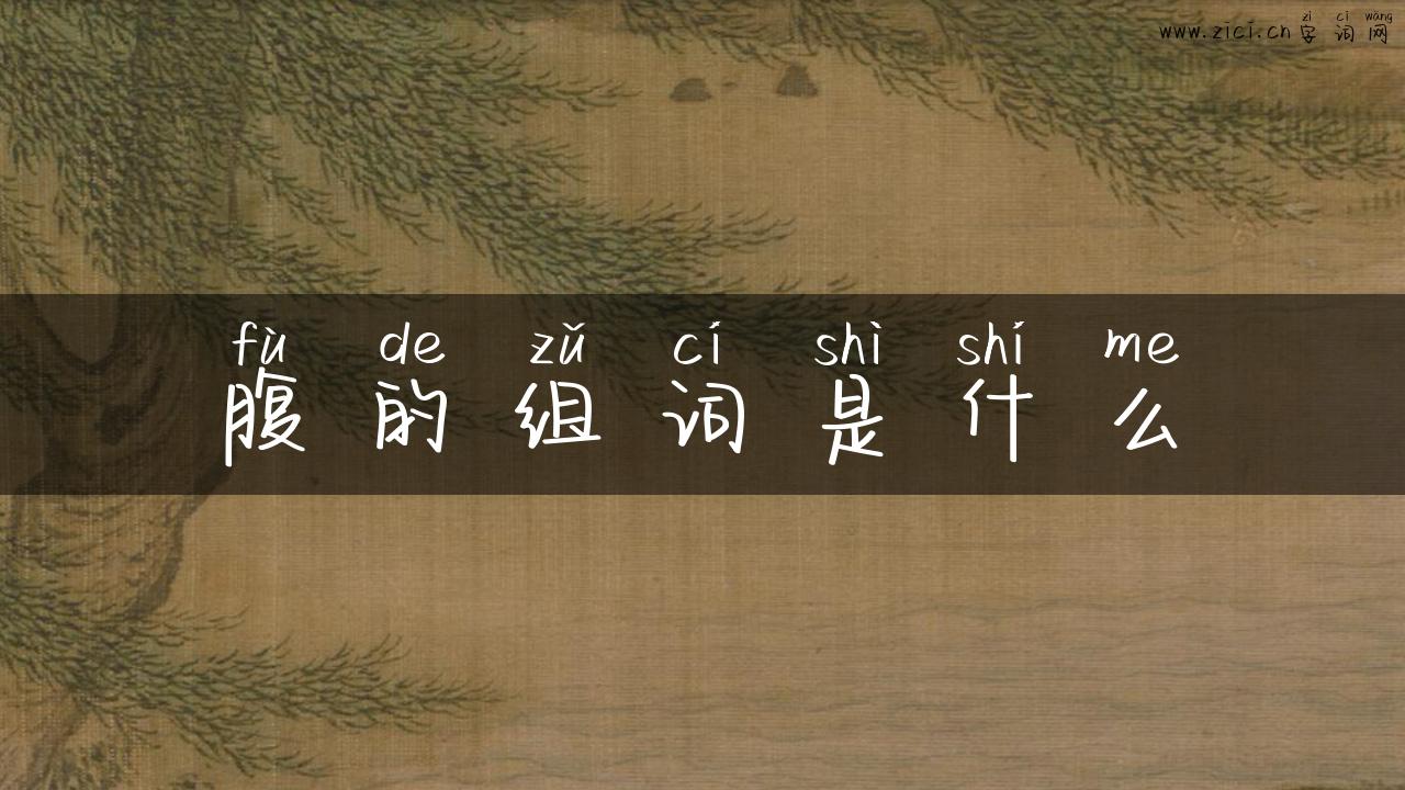 腹的组词是什么