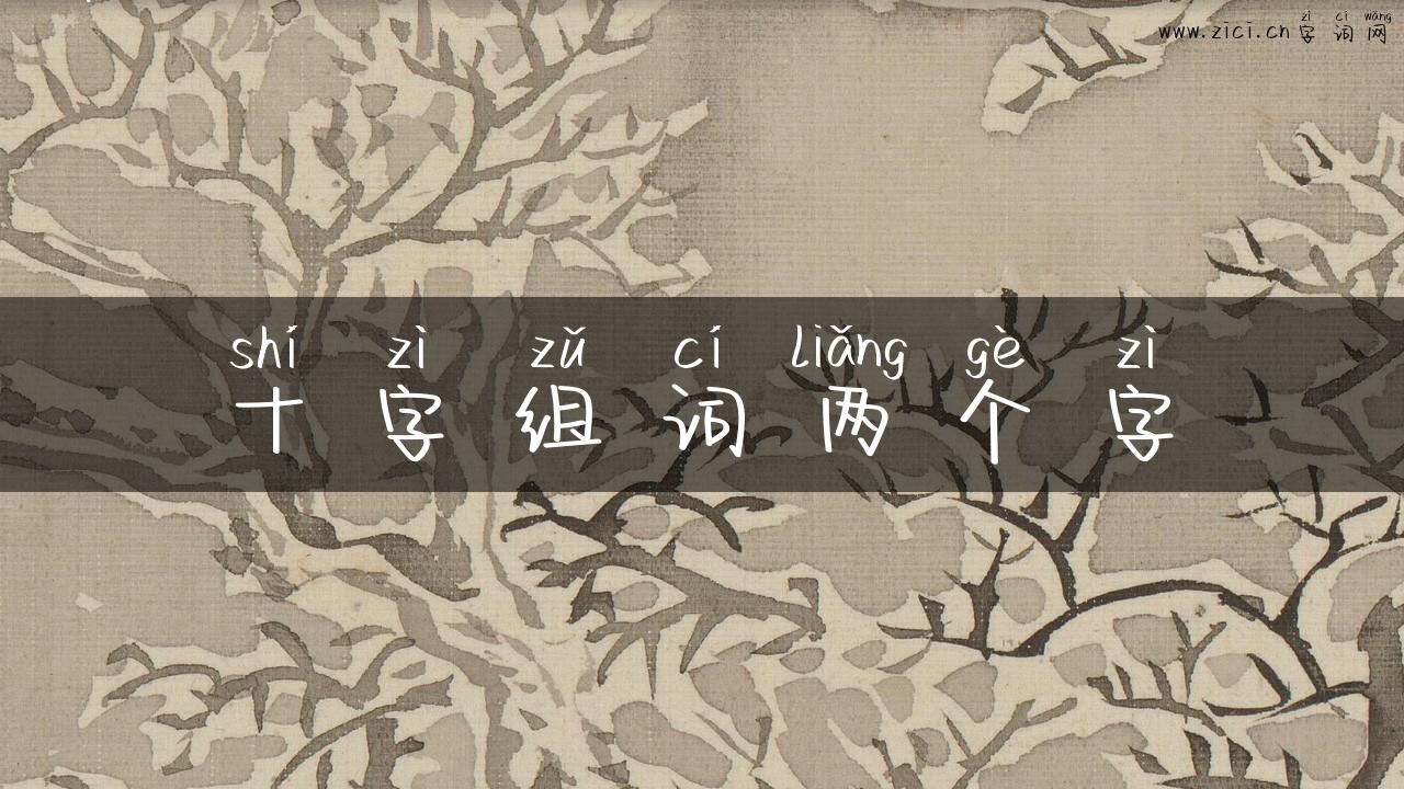 十字组词两个字