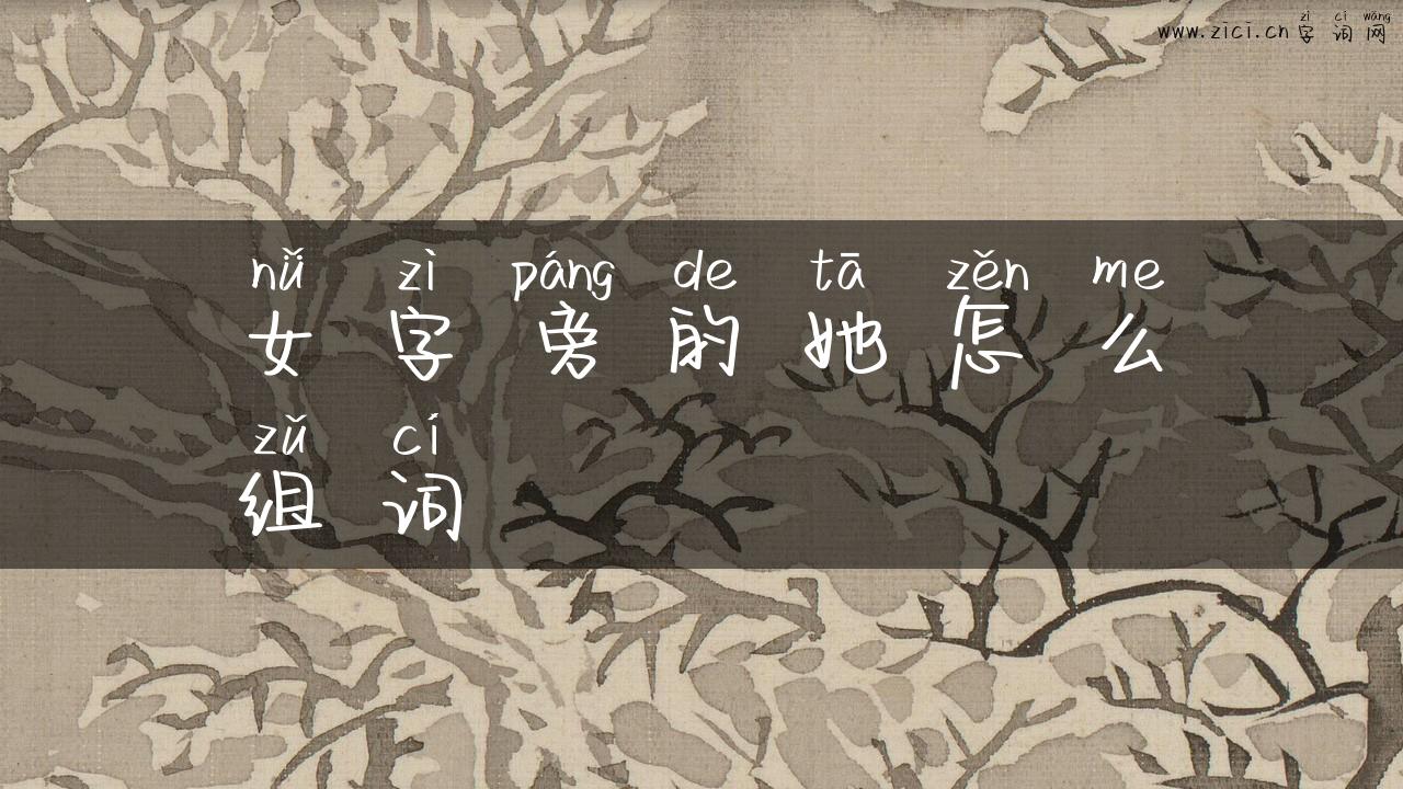 女字旁的她怎么组词