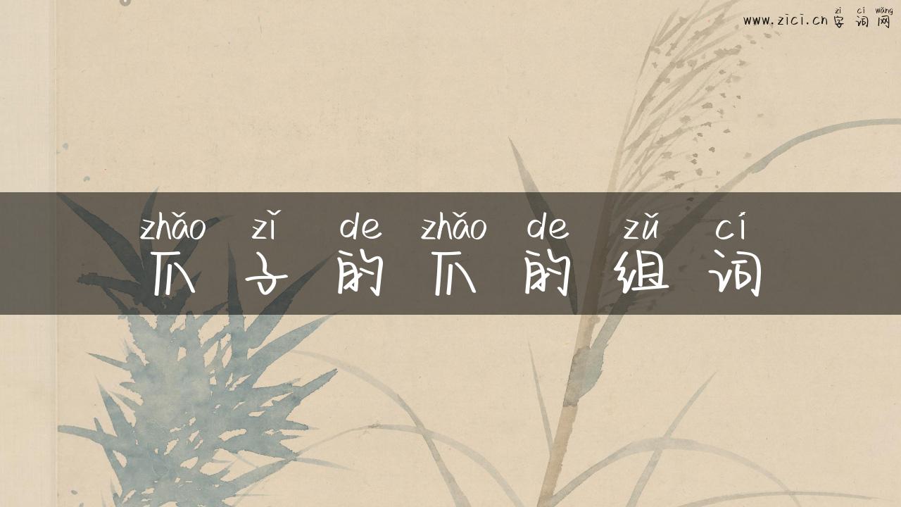 爪子的爪的组词