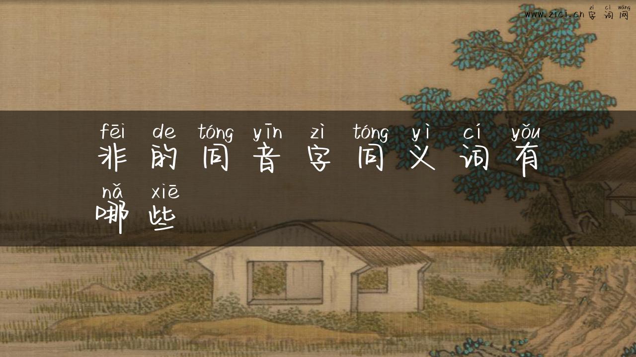 非的同音字同义词有哪些