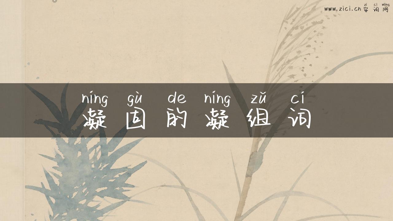 凝固的凝组词