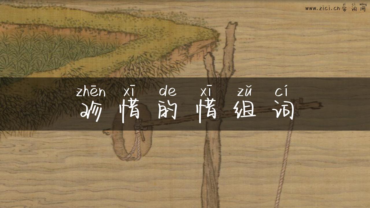 珍惜的惜组词