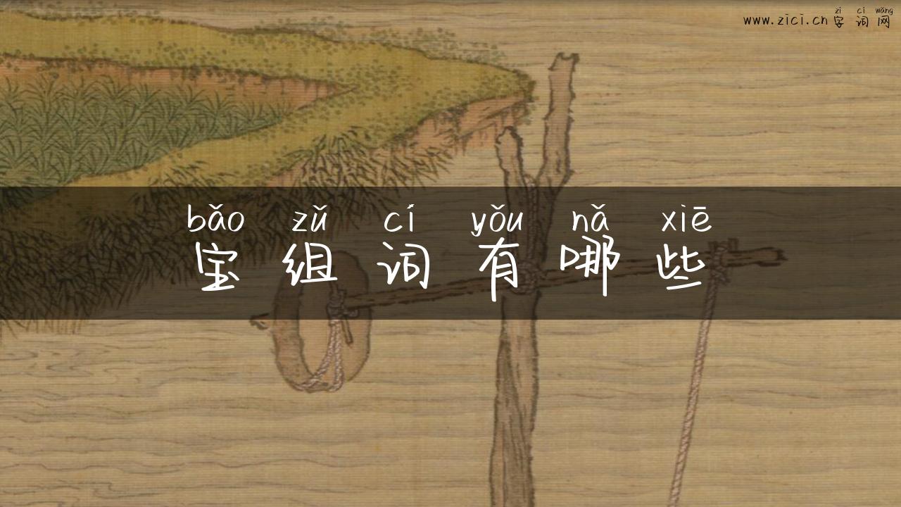 宝组词有哪些