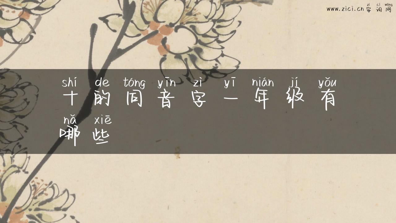 十的同音字一年级有哪些