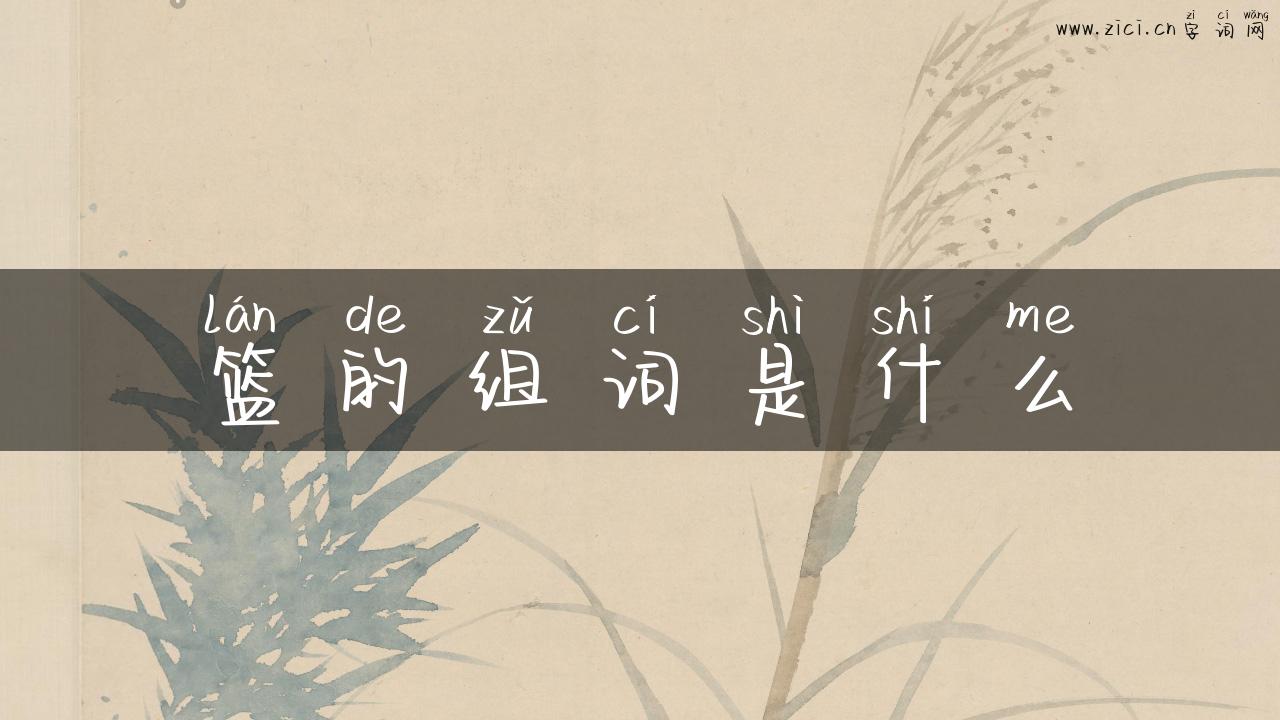 篮的组词是什么