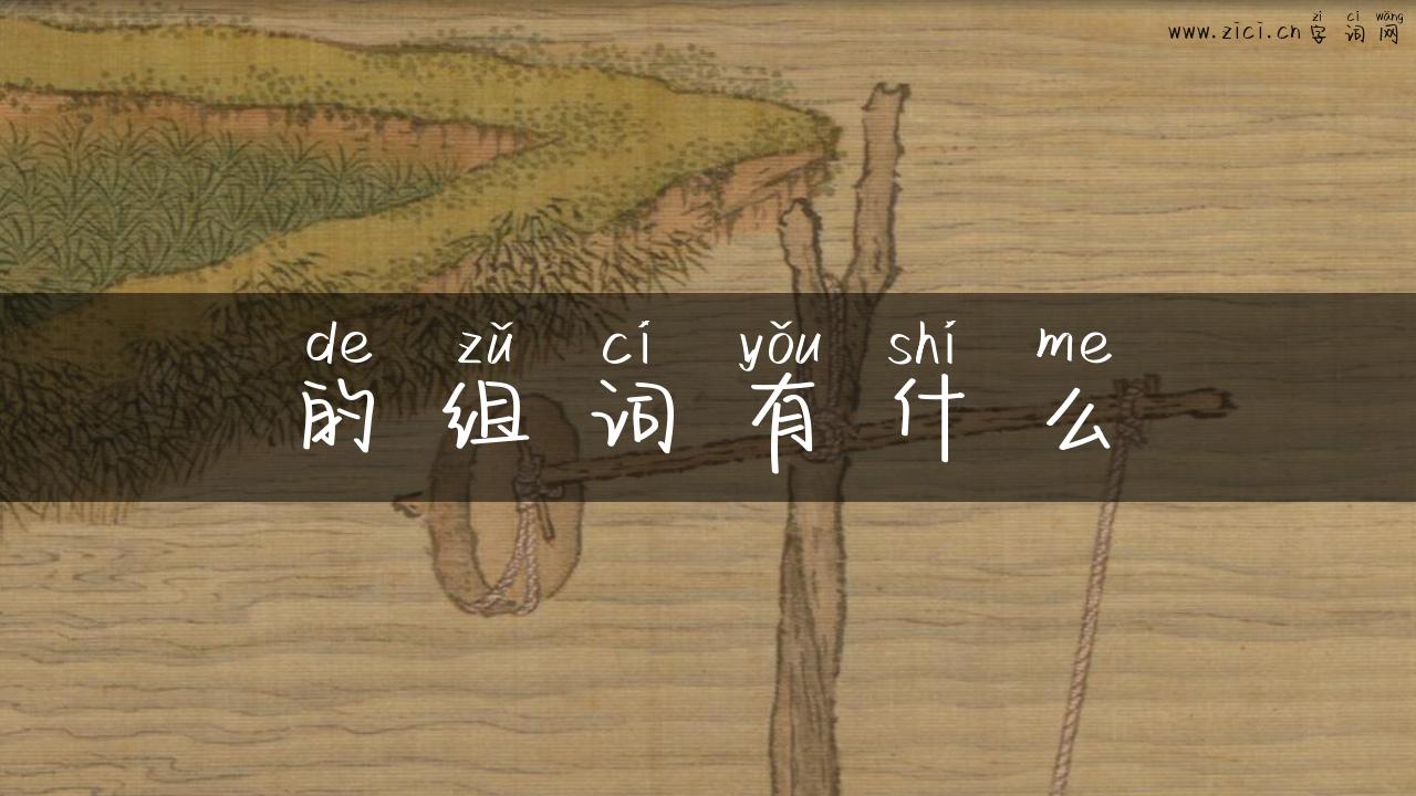 的组词有什么