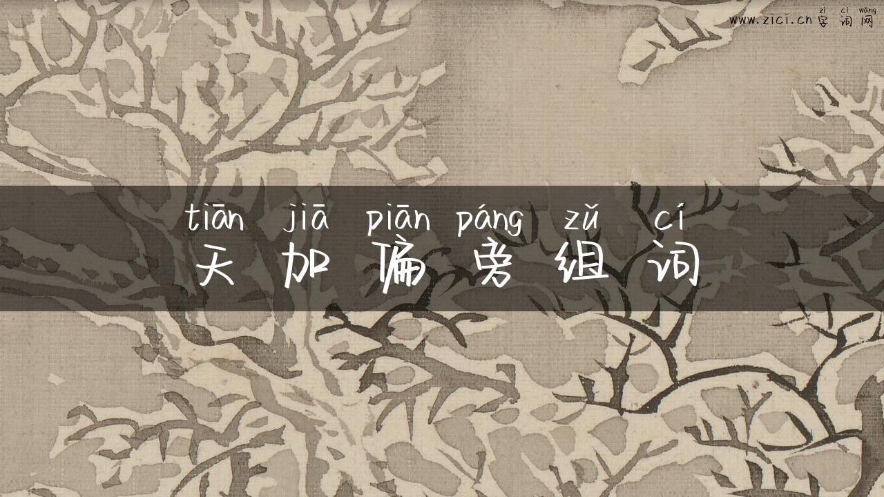 天加偏旁组词