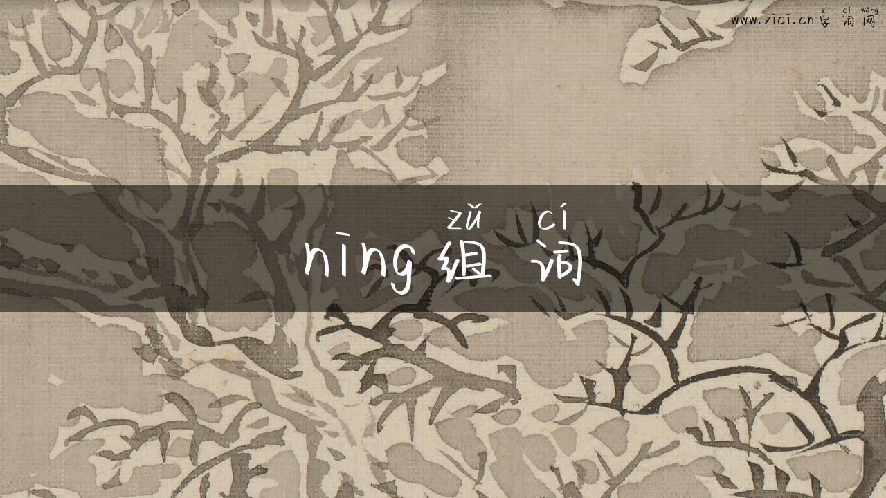 ning组词