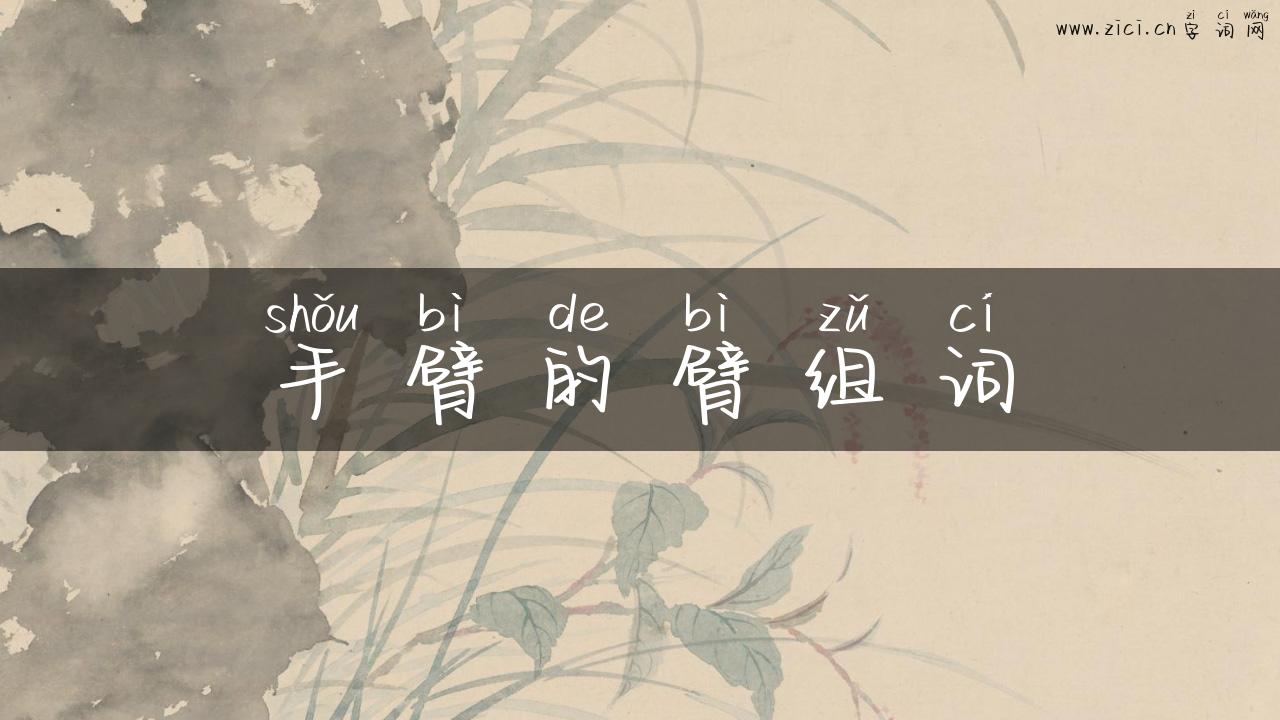 手臂的臂组词