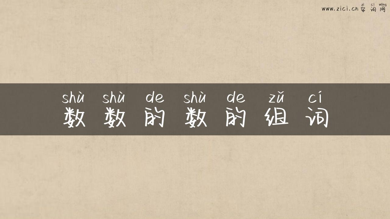 数数的数的组词
