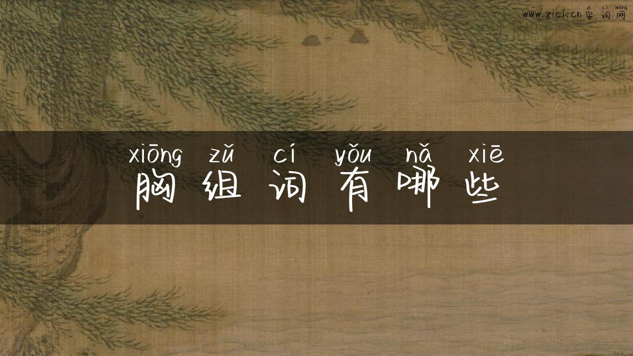 胸组词有哪些