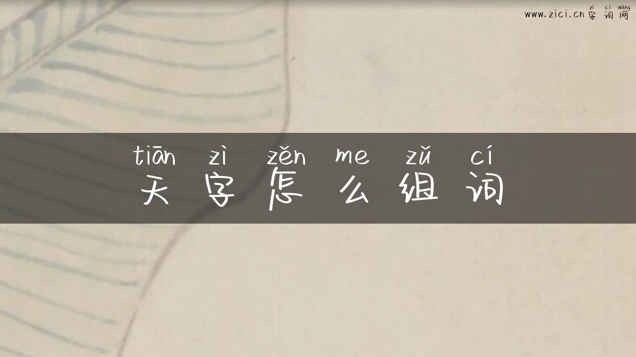 天字怎么组词