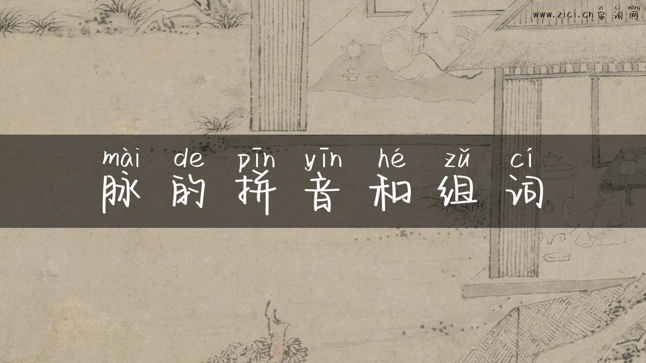脉的拼音和组词