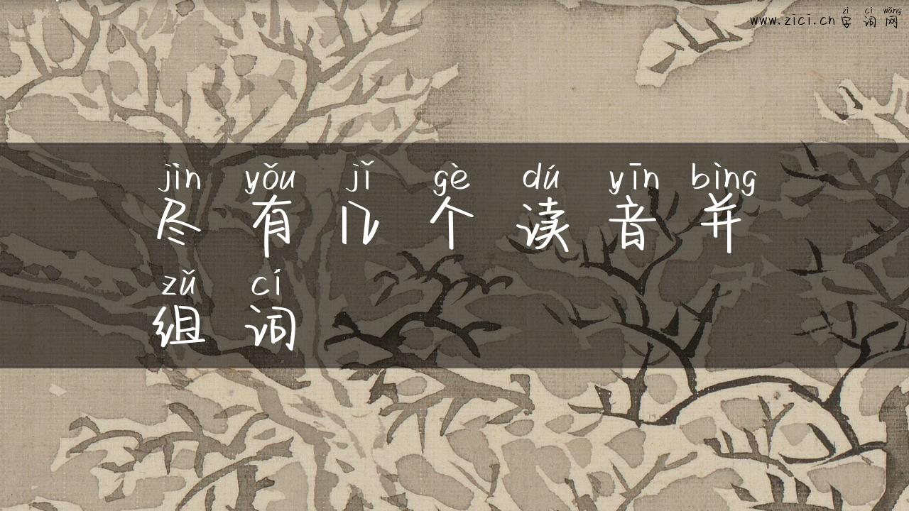 尽有几个读音并组词