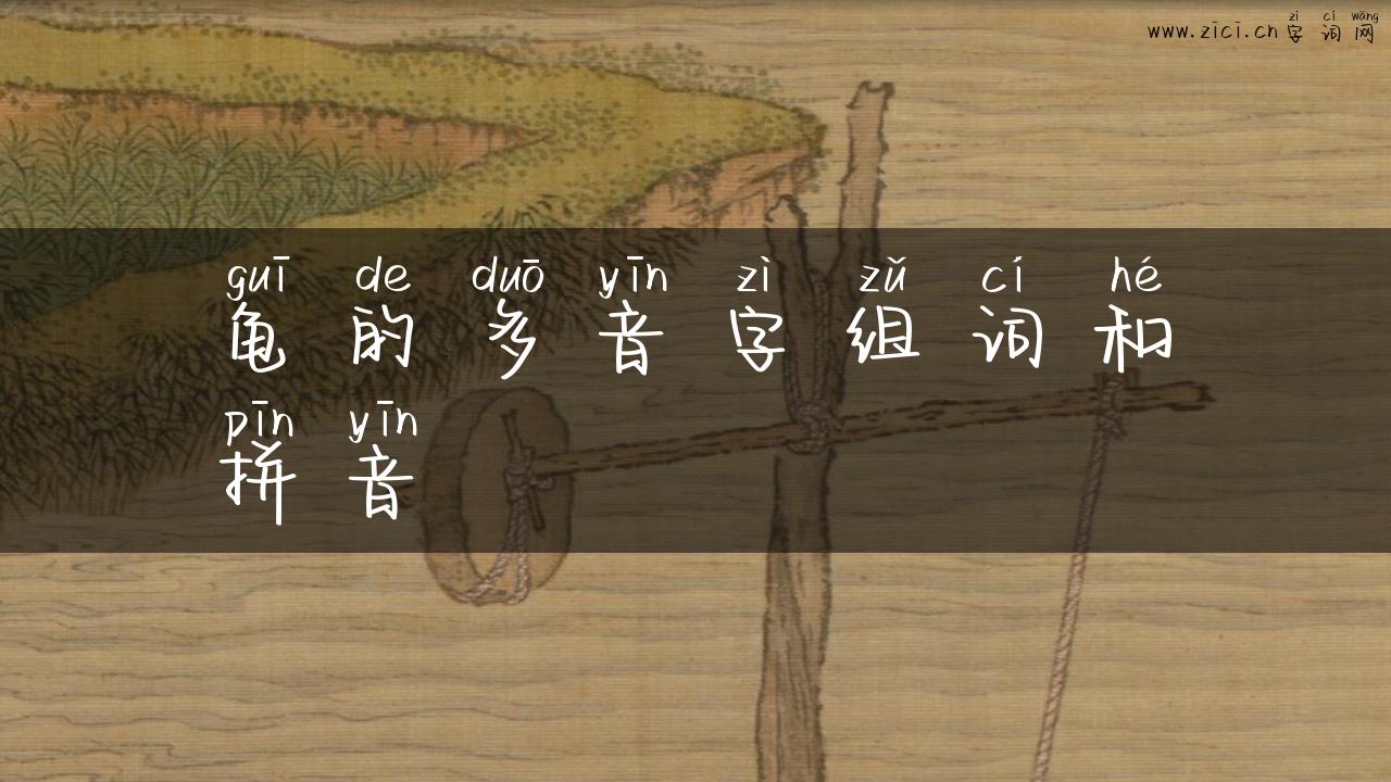 龟的多音字组词和拼音