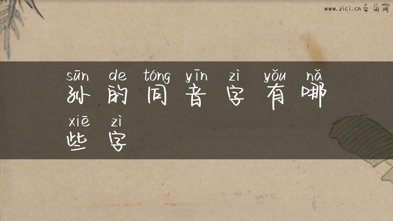 孙的同音字有哪些字