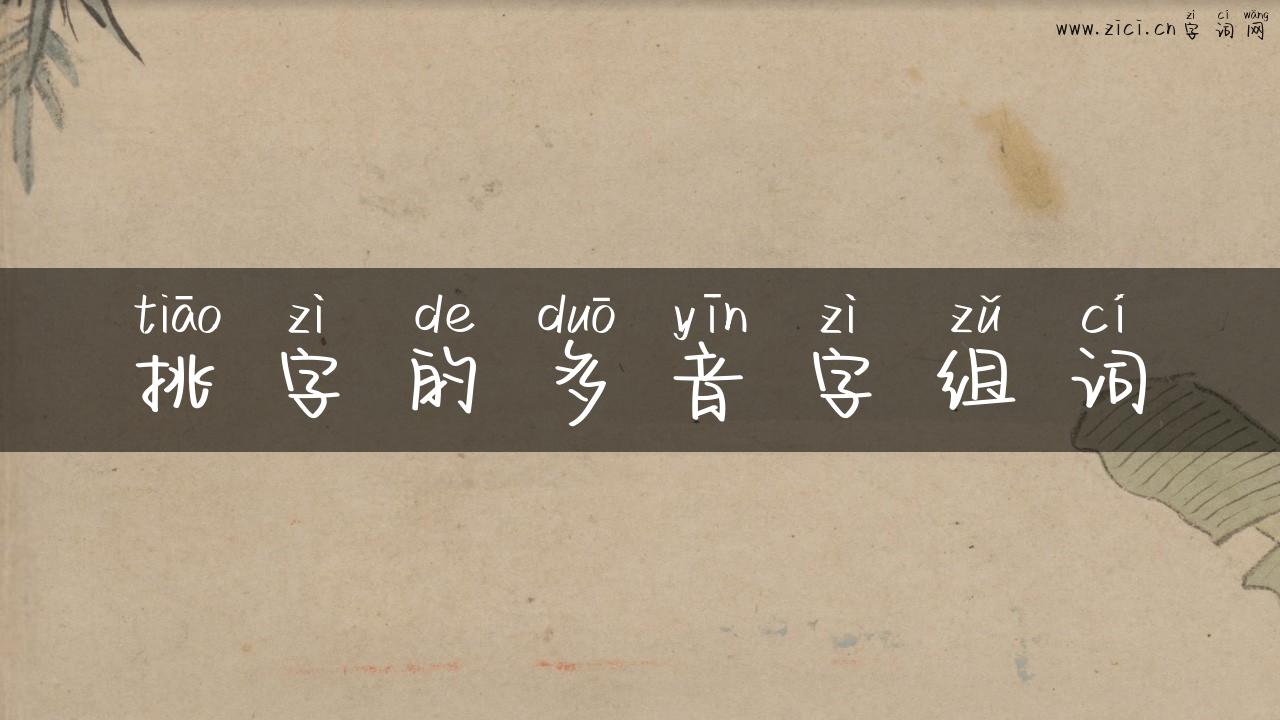 挑字的多音字组词