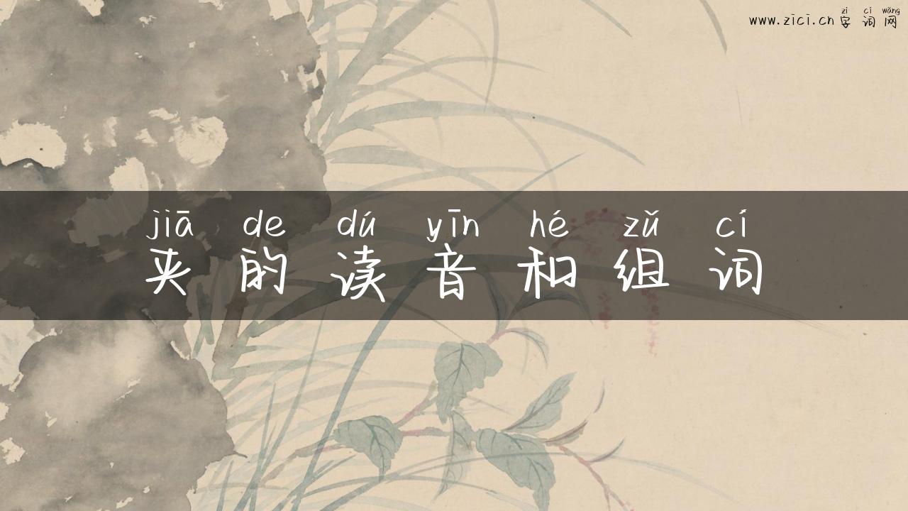 夹的读音和组词