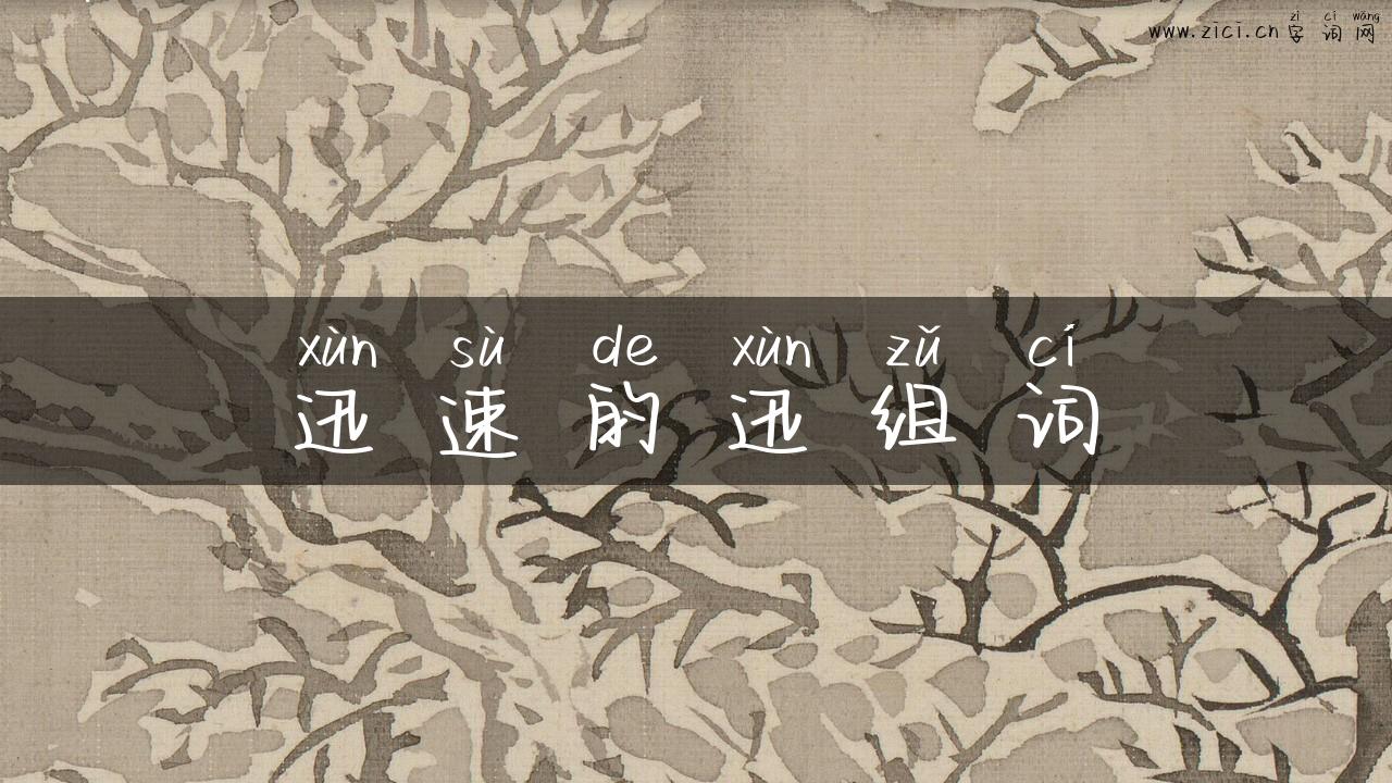 迅速的迅组词