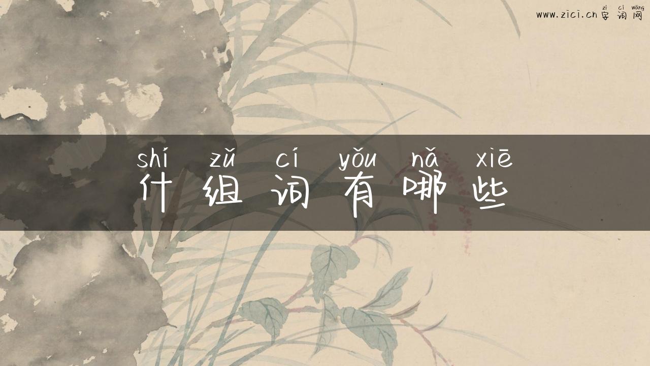 什组词有哪些