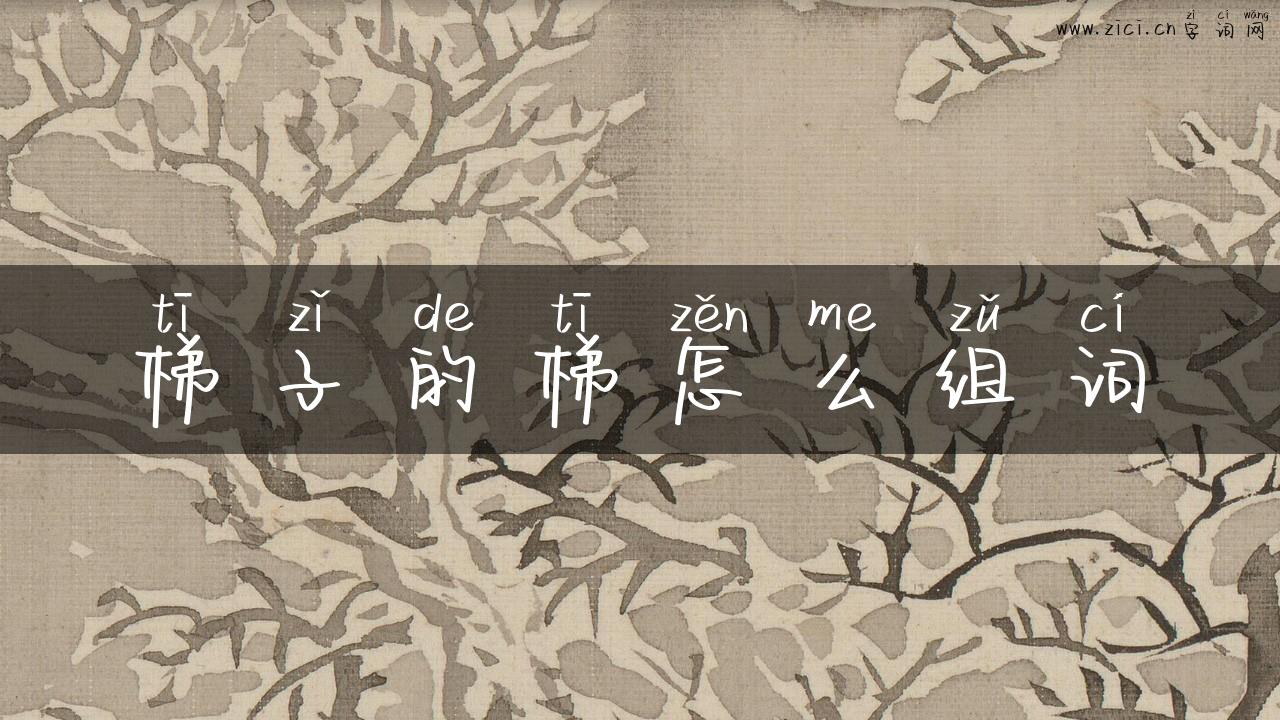梯子的梯怎么组词