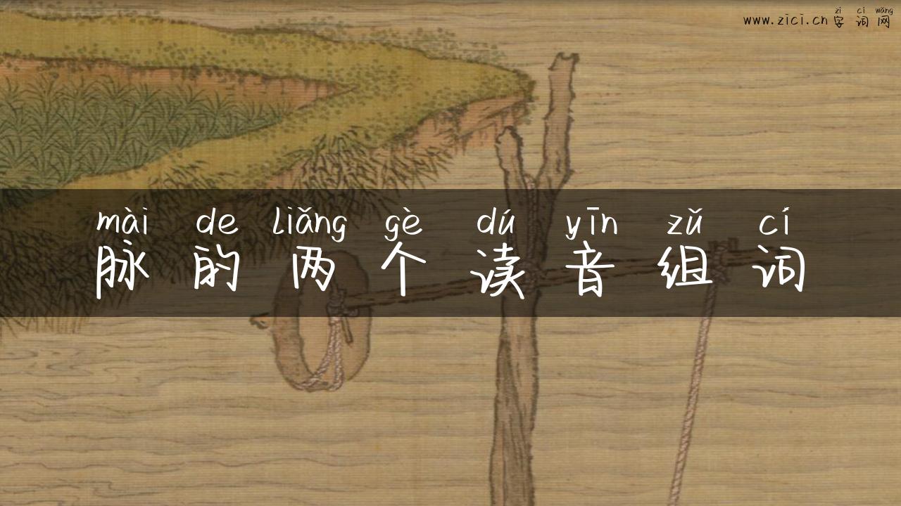 脉的两个读音组词