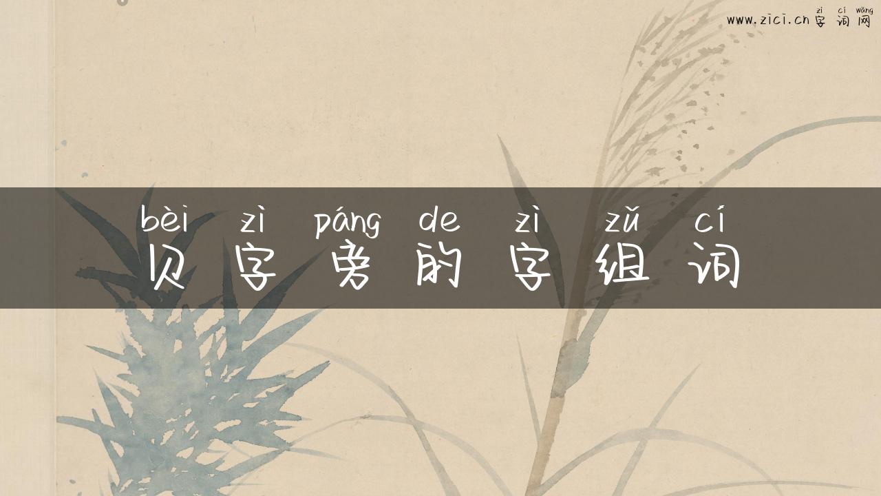 贝字旁的字组词