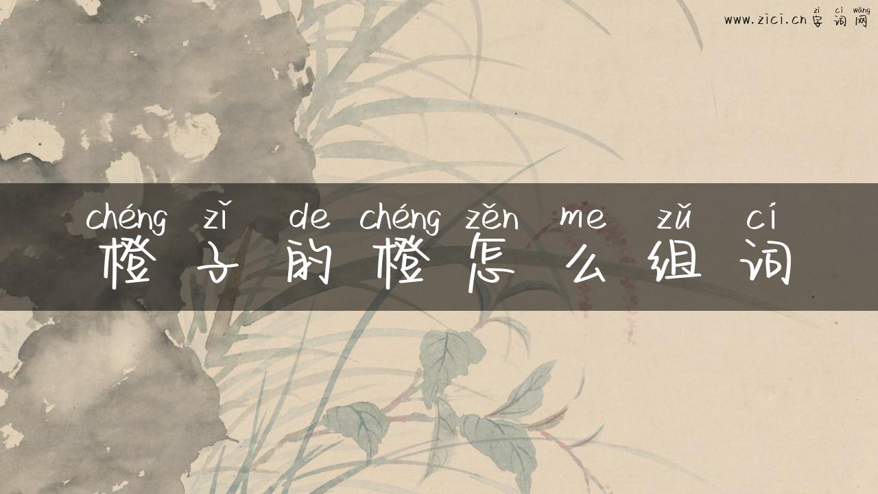 橙子的橙怎么组词
