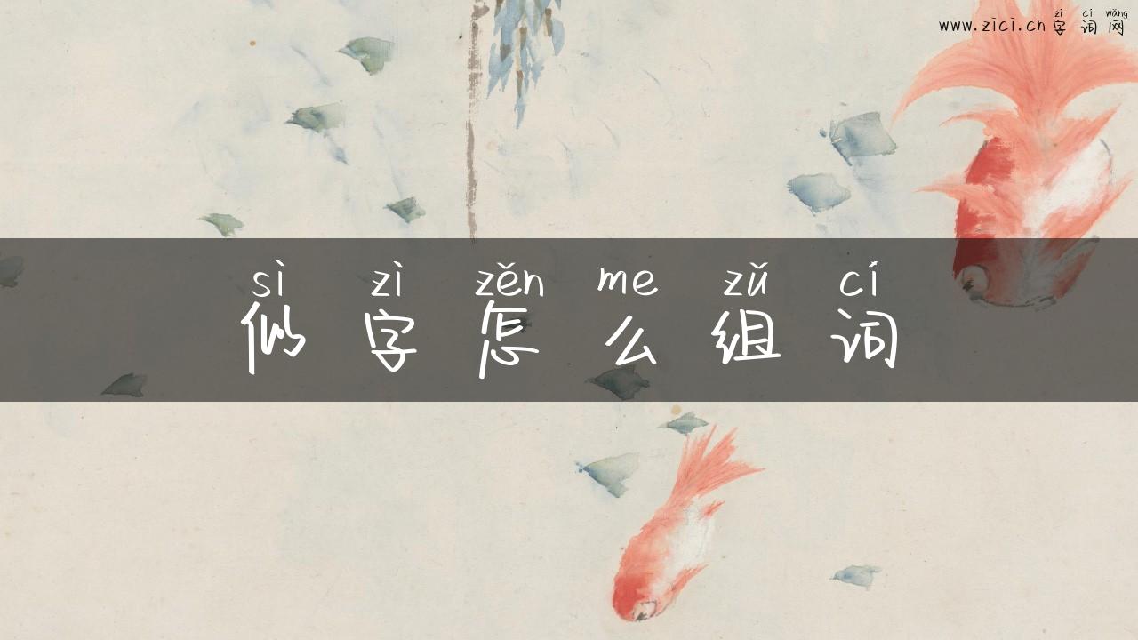 似字怎么组词