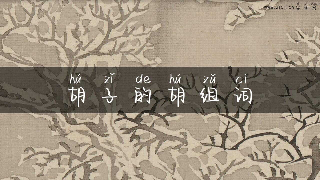 胡子的胡组词