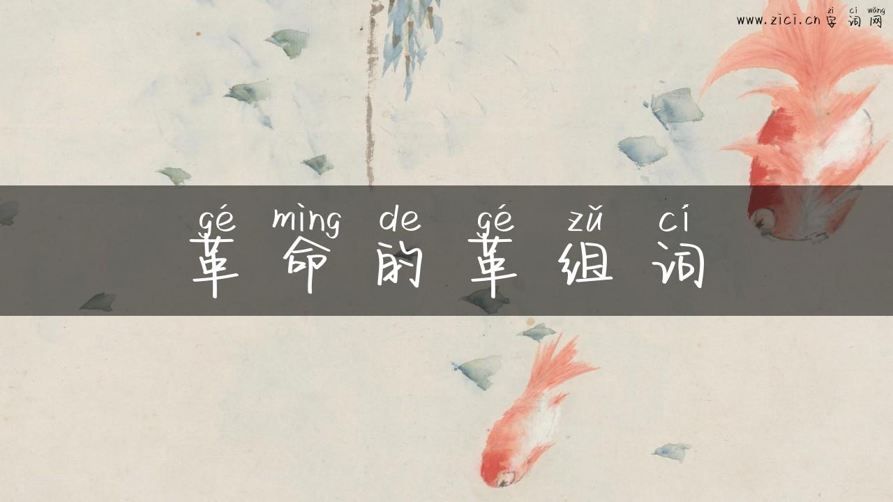 革命的革组词