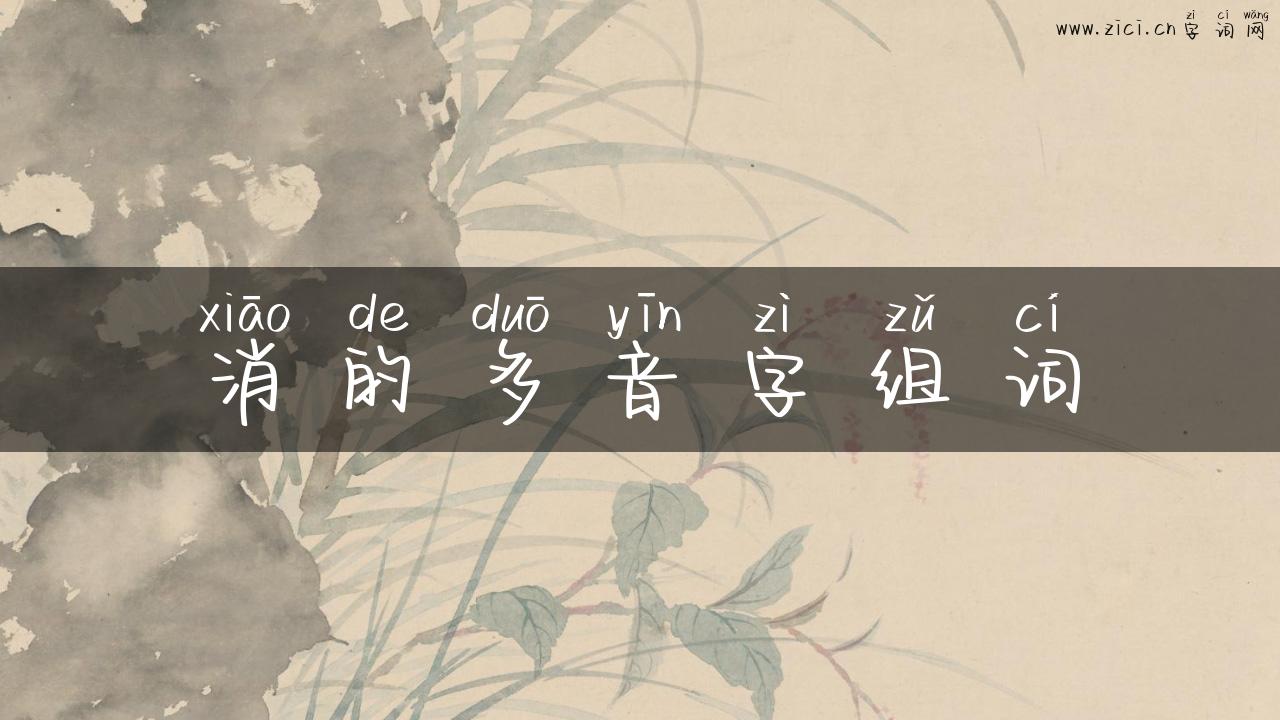 消的多音字组词